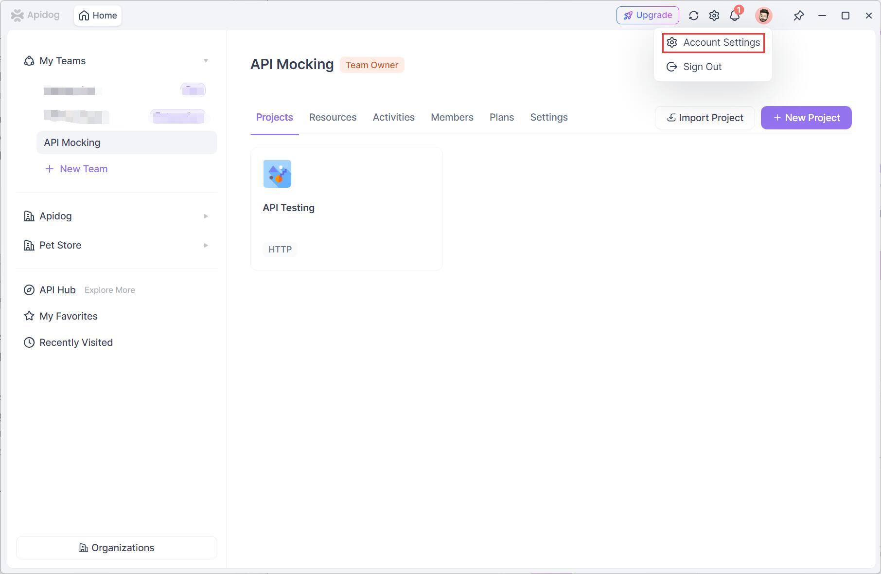 Apidog account settings