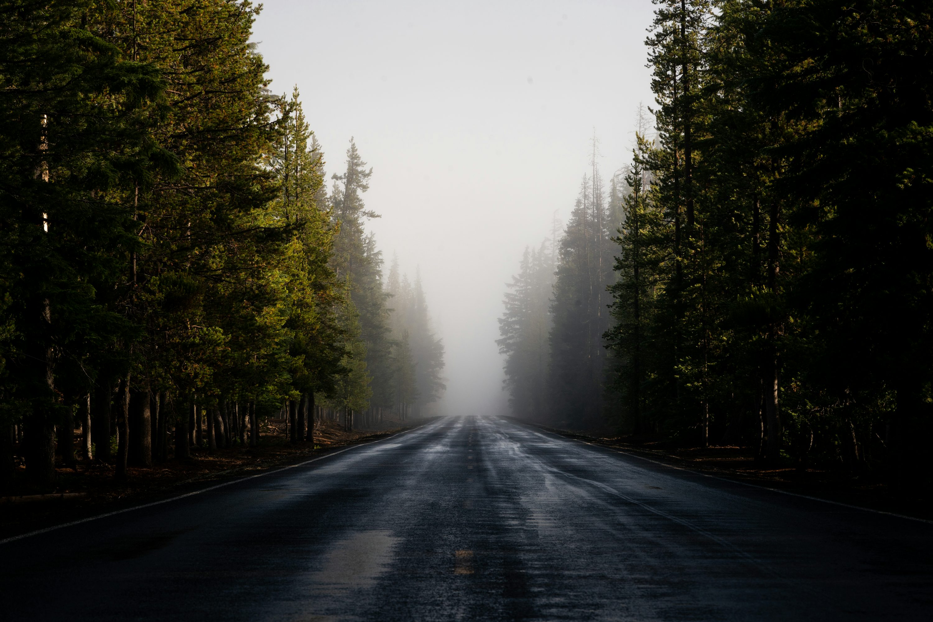 Roadmap