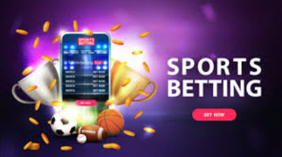 91 Sport: Sport Betting, trusted, big win