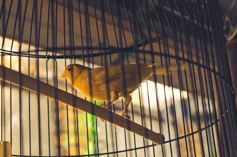 How Postman Engineering does microservices