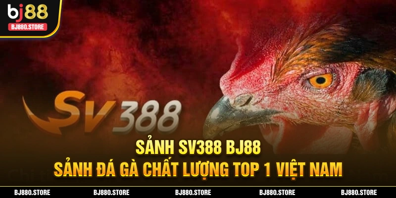Sảnh SV388 BJ88 – Nơi Giải Trí Tuyệt Vời Cho Mọi Người Chơi