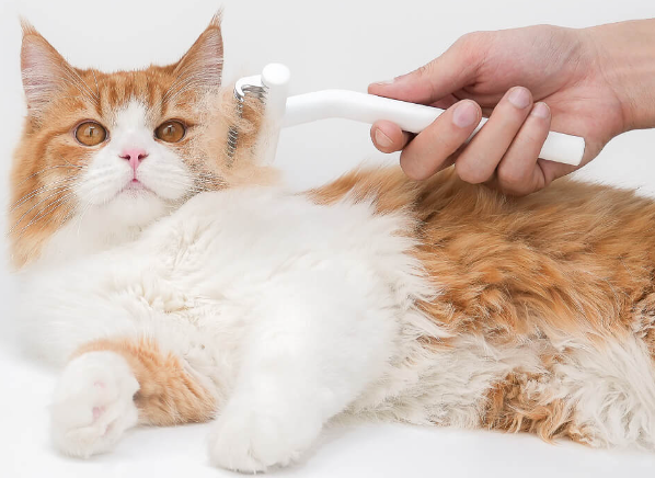 Transform Pet Care with Aumuca Coupons Code.