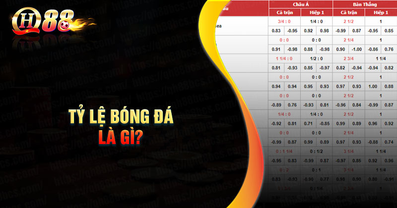 Ty Le Bong Da QH88
