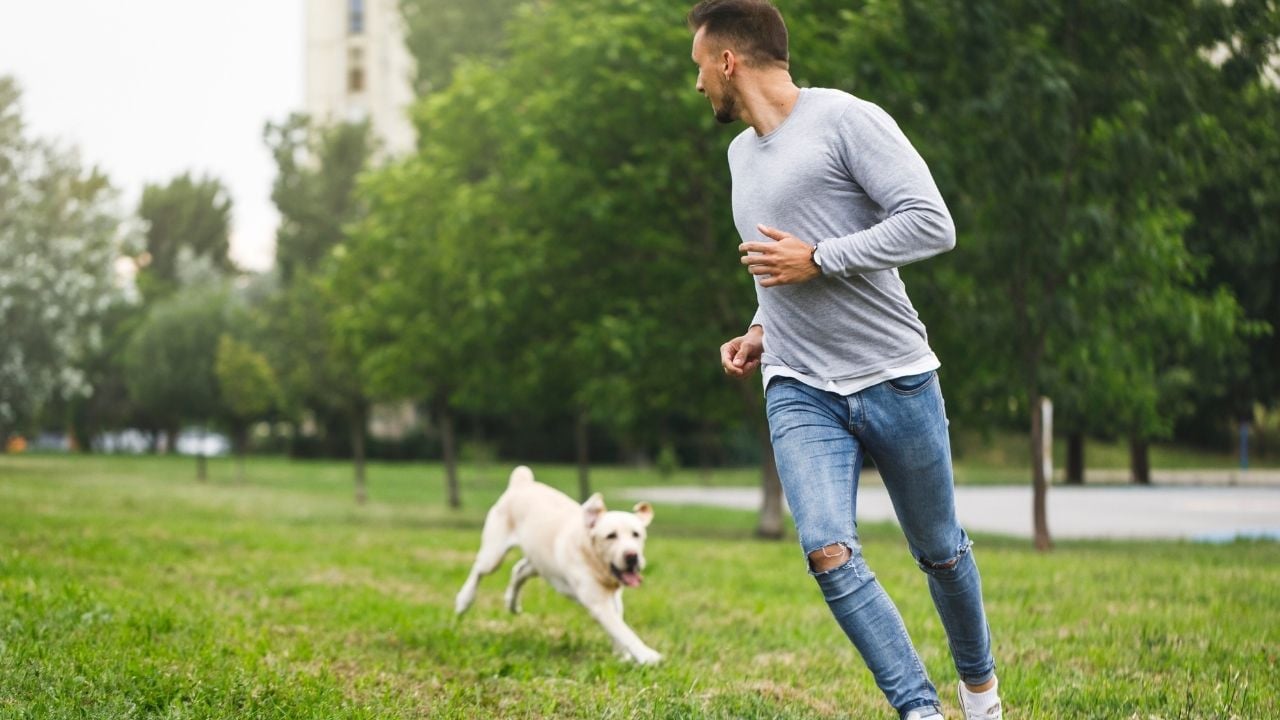 köpekle kovalamaca oyunu