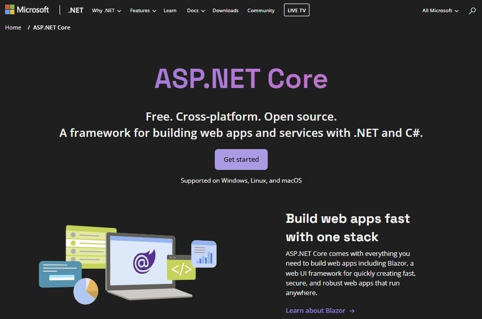 ASP.NET Core Website