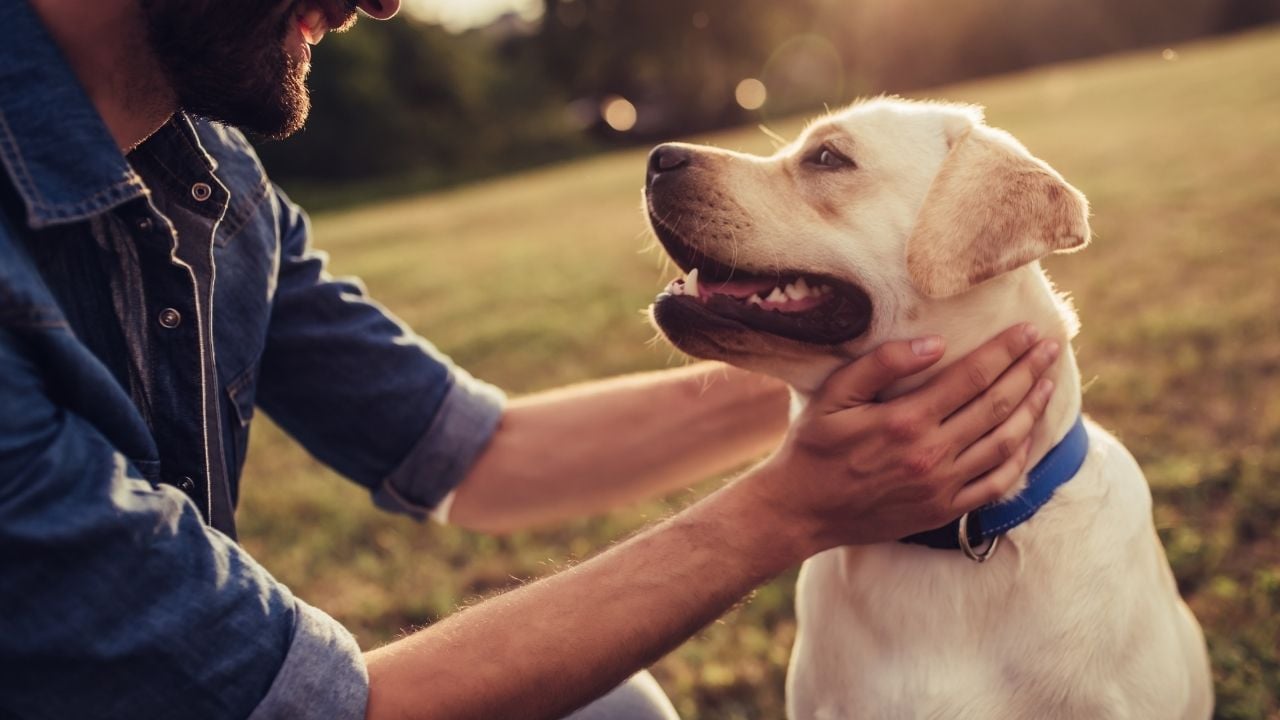 köpeğini seven bir adam