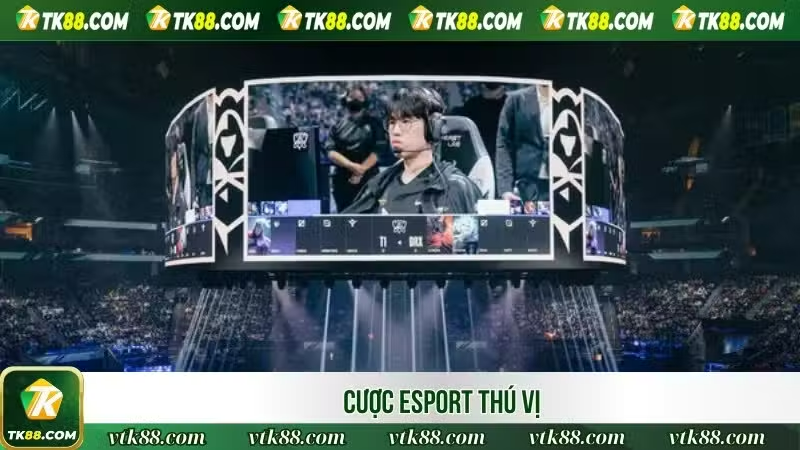 Thể Thao TK88 - Điểm Đến Cá Cược Thể Thao Uy Tín Hàng Đầu Việt Nam