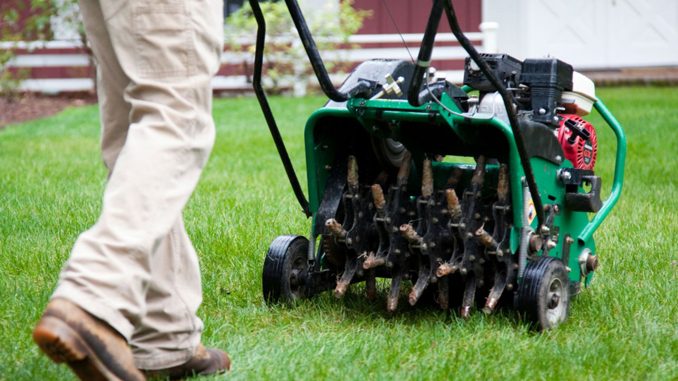 Lawn Aerator Services for a Smooth and Vibrant Lawn