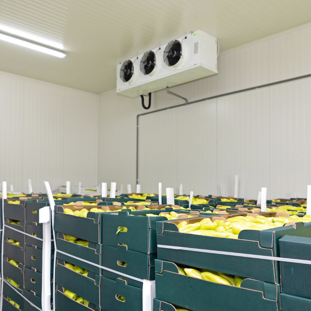 Ozone System Solution: Redefining Air and Water Purity