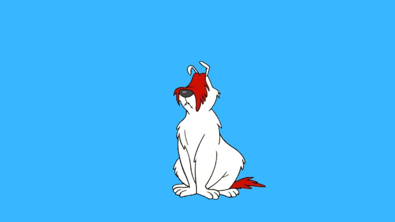 Sam Sheepdog