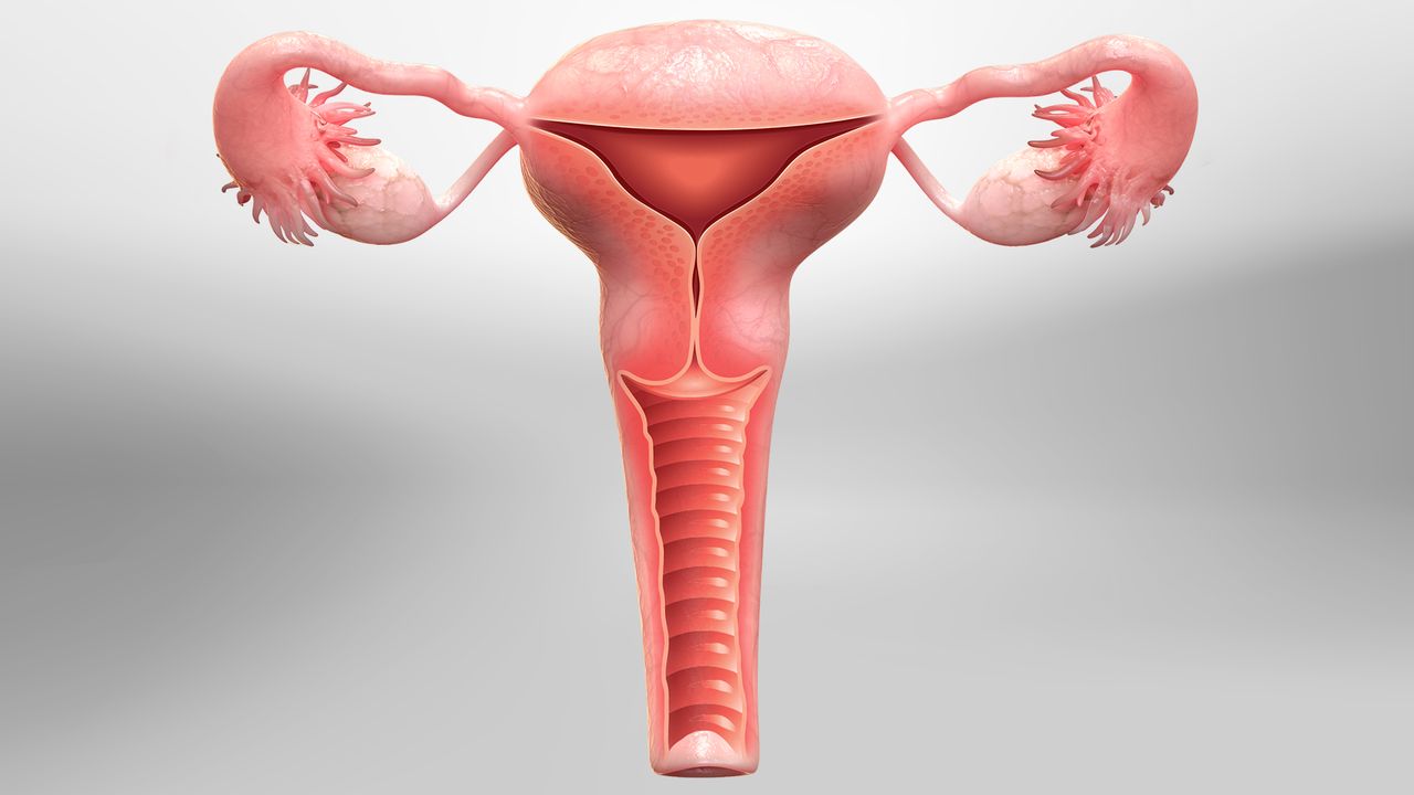 What Is A Hysterectomy, And When Is It Needed?