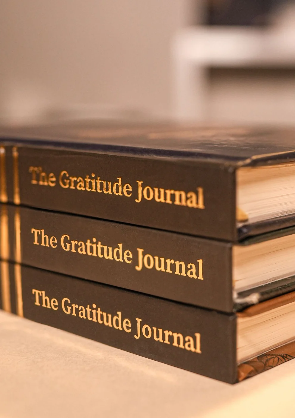 Guided Gratitude Journal for Mindfulness