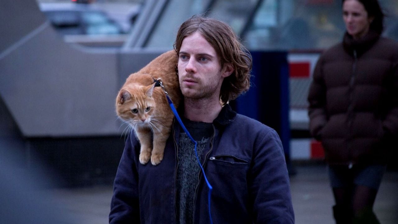 A Street Cat Named Bob, Sokak Kedisi Bob (2016)