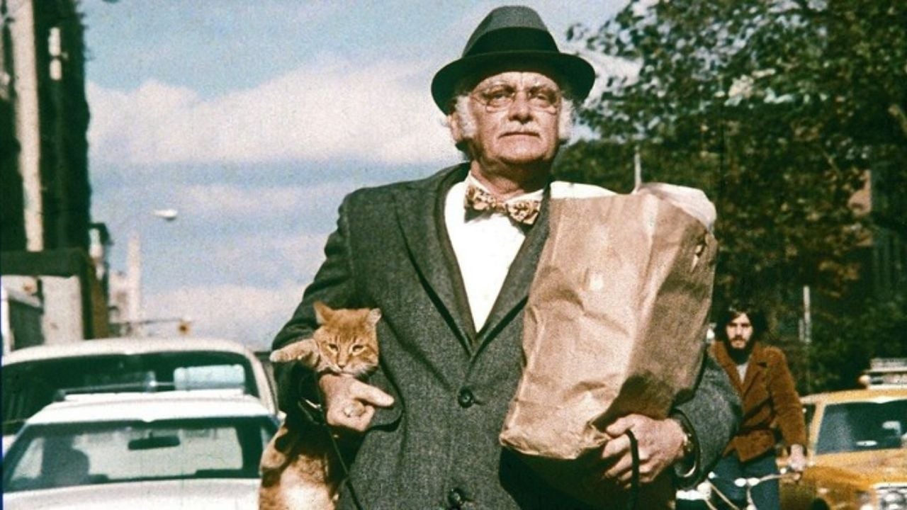 Harry and Tonto, Harry ve Tonto (1974)