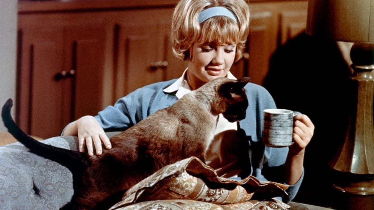 That Darn Cat (1965)