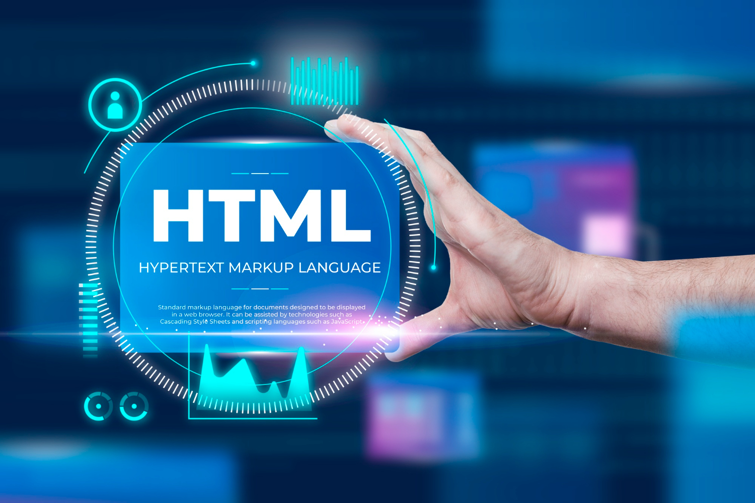 HTML For Beginners