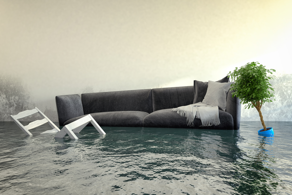 Comprehensive Stormwater Flood Prevention and General Plumbing Services