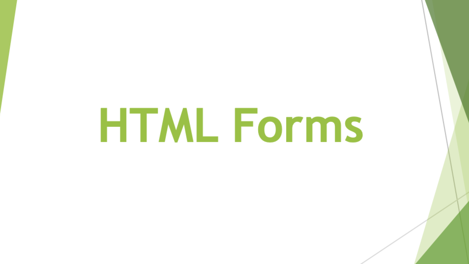 How to Create Forms in HTML: A Beginners Guide