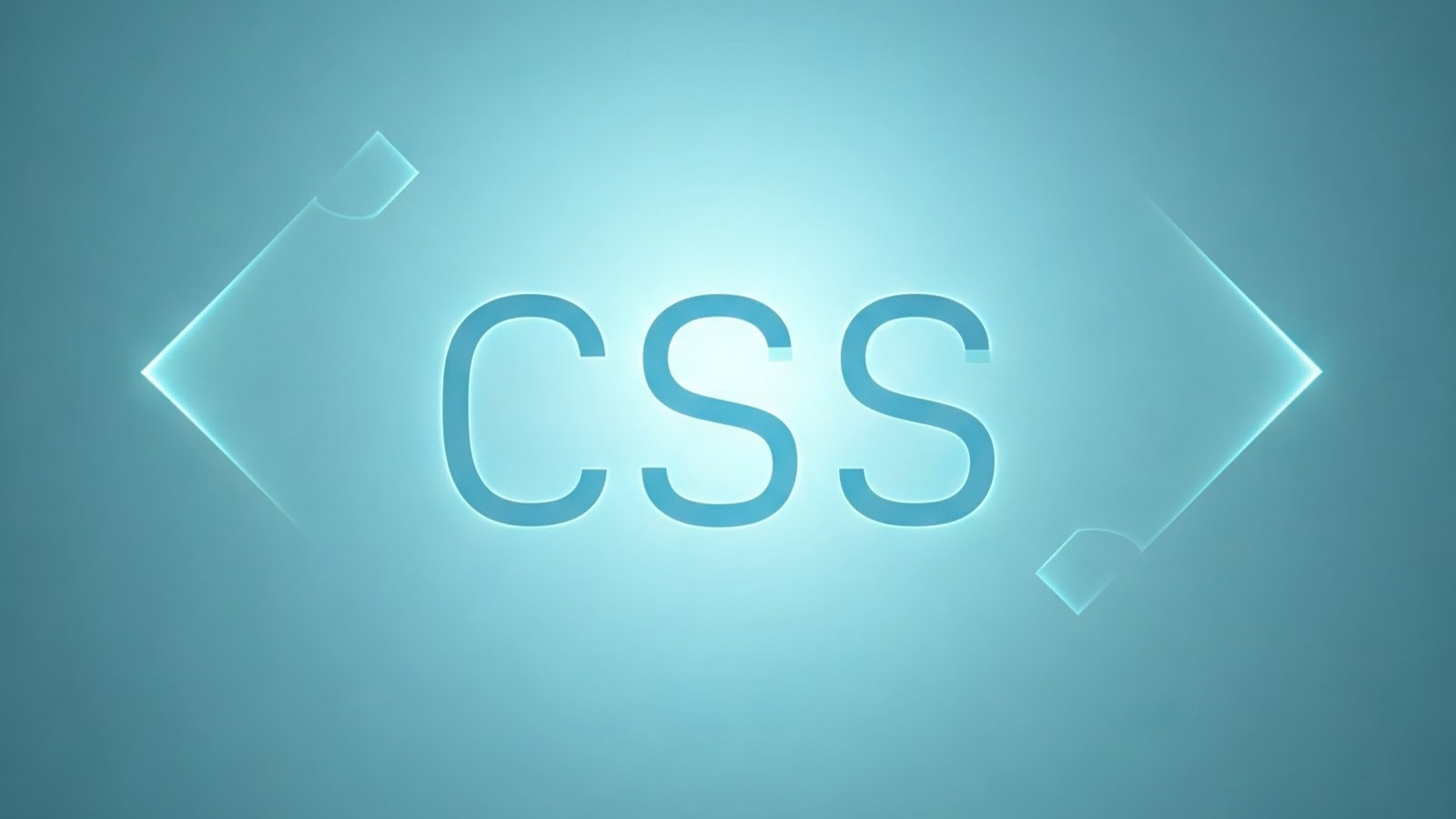 CSS Basics : A Beginner Guide