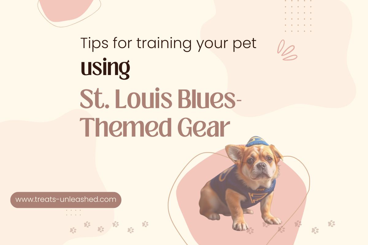 How to Train Your Pet with St Louis Blues -Themed Toys and Accessories?
