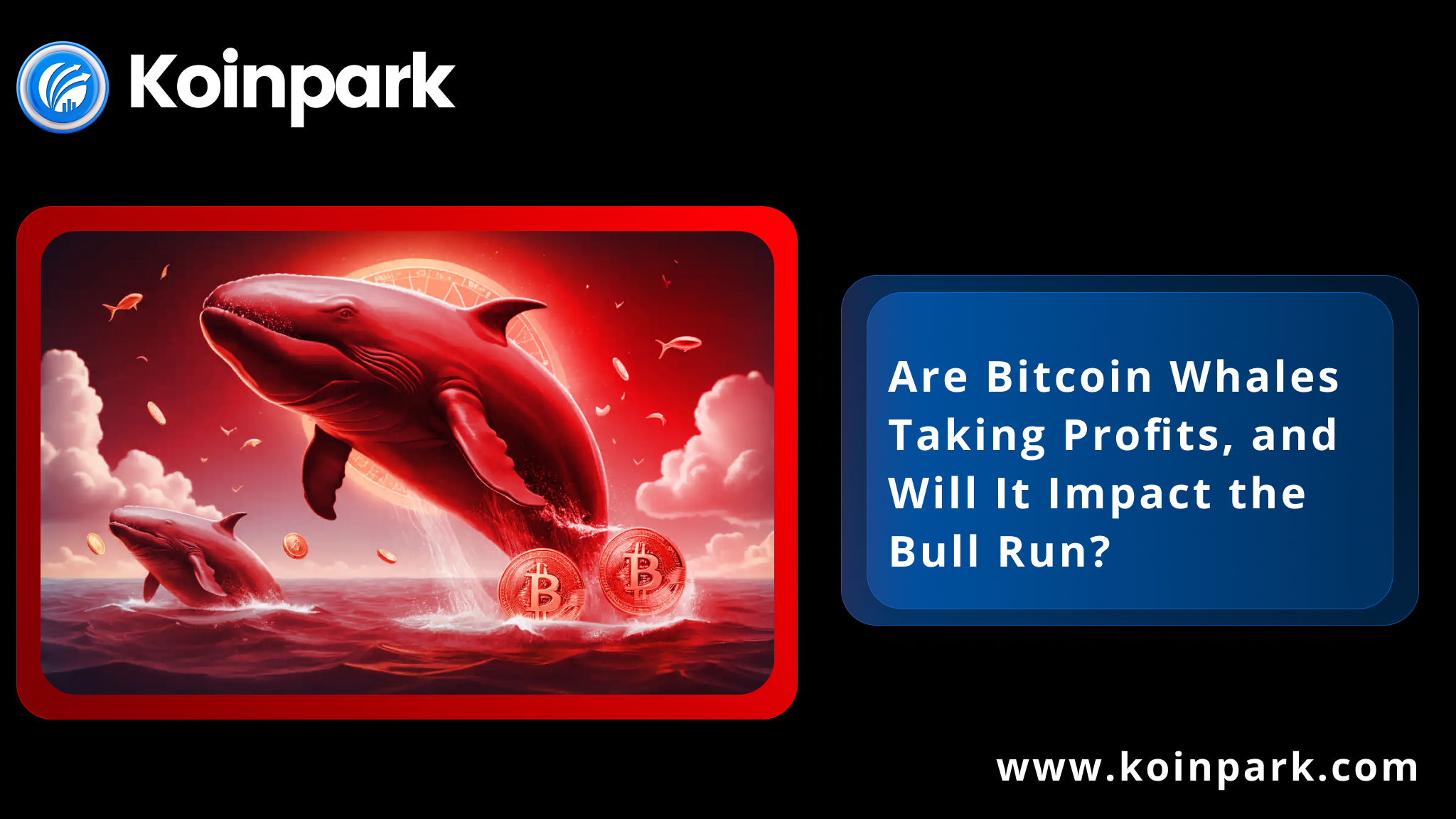 Are Bitcoin Whales Taking Profits, and Will It Impact the Bull Run?
