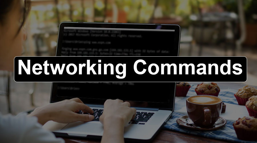 🌐 Hands-On with Networking Commands