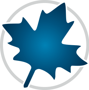 Mastering Symbolic Computation with Maple