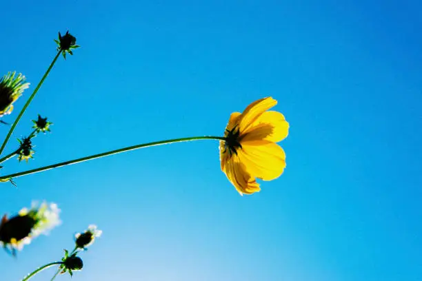 Filter Polarizer Terbaik untuk Fotografi: Rekomendasi & Tips