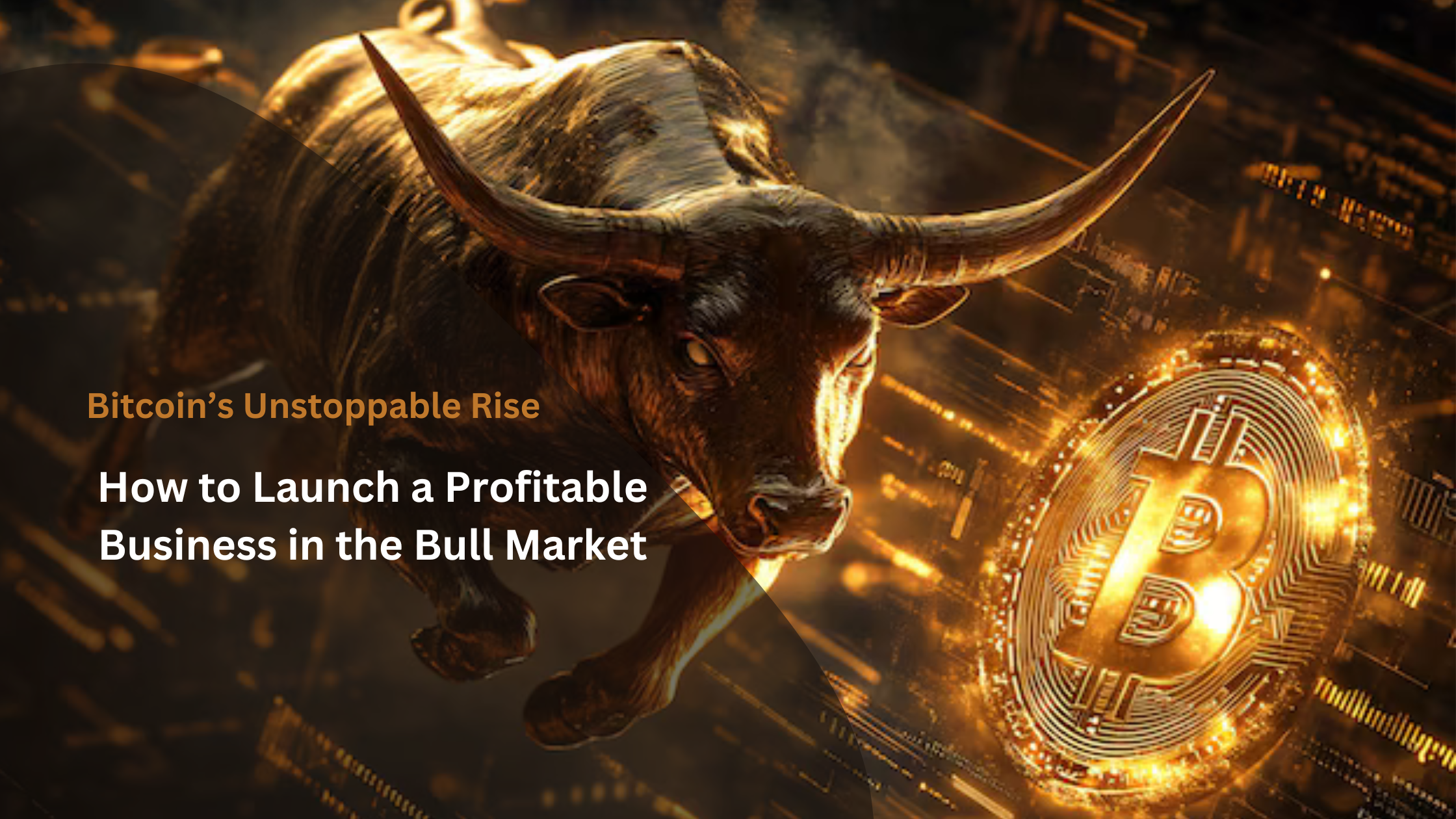 Bitcoin’s Unstoppable Rise - How to Launch a Profitable Business in the Bull Market