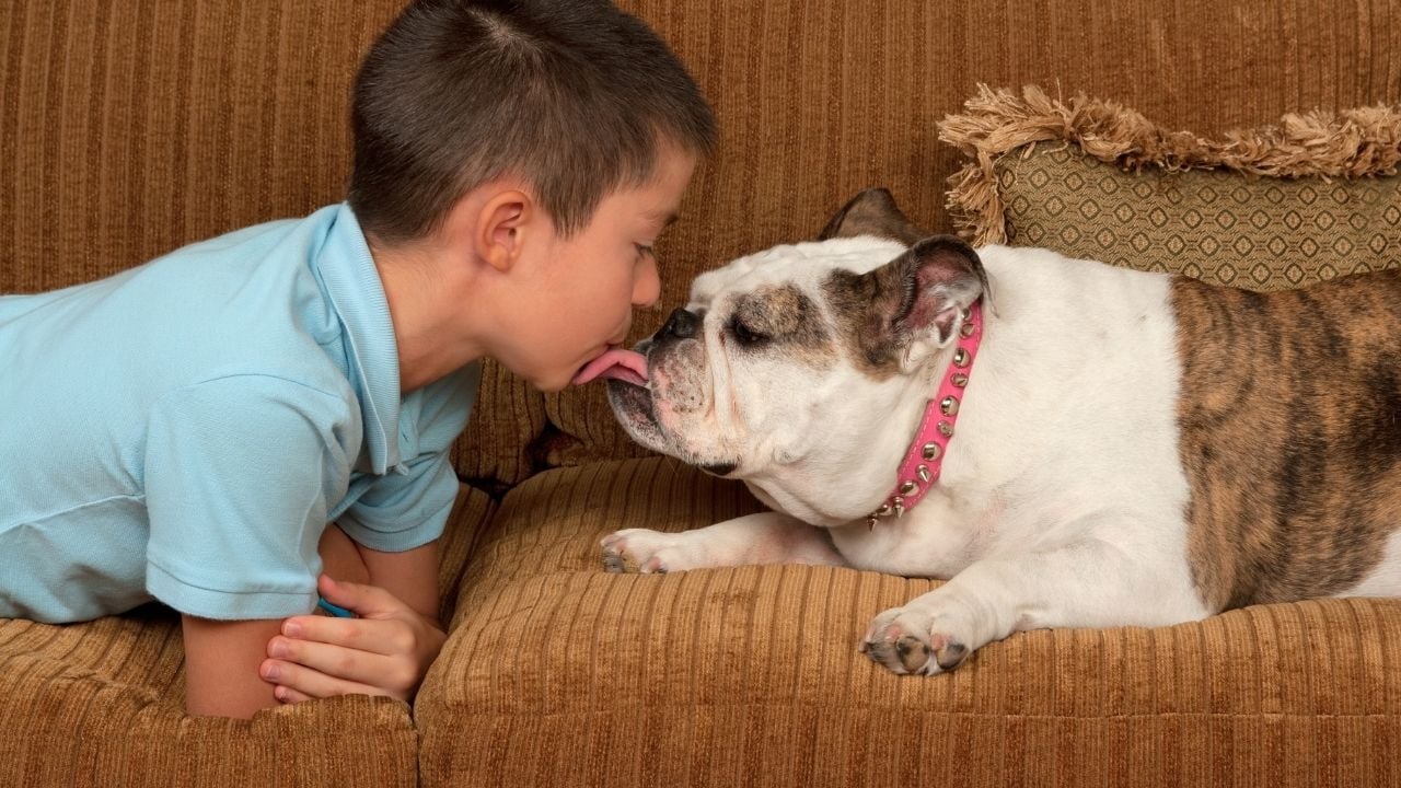 köpeğini öpen çocuk
