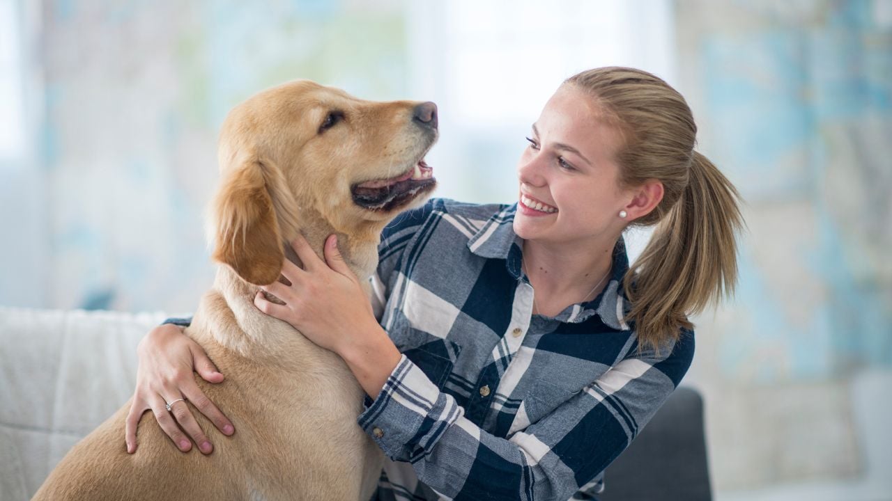 köpeğini seven çocuk