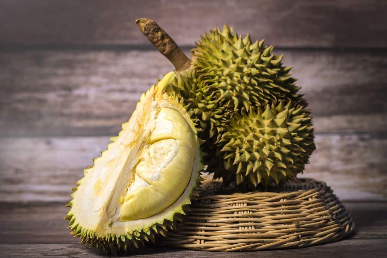 Durian Processing Plant Project Report 2025: Strategic Planning, Cost and Revenue