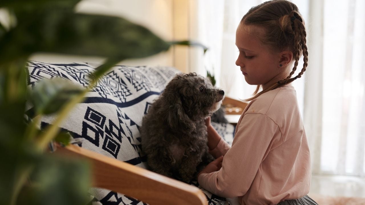 küçük köpeği seven kız