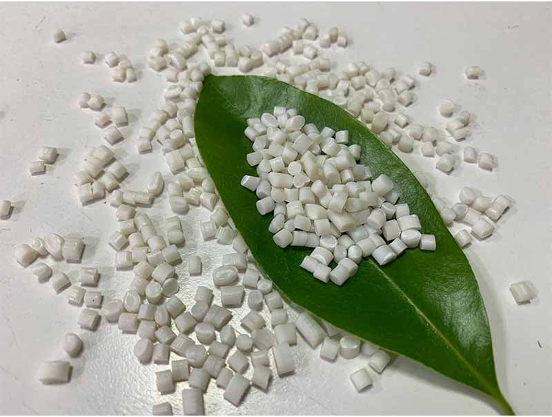 8 Steps to Establish a Successful Polybutylene Succinate (Pbs) Plant