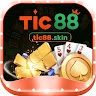 Tic88