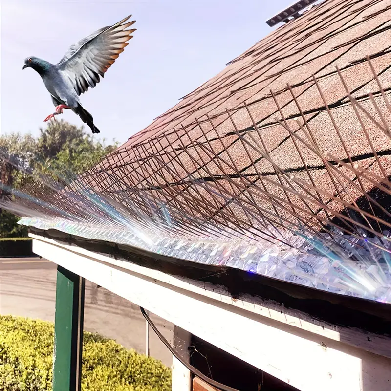 Dubai’s Most Trusted Supplier of Bird Spikes & Deterrents
