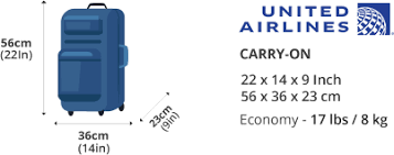 A Complete Guide to United Airlines Baggage Details