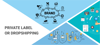 Dropshipping vs. Private Label: Which eCommerce Model is Right for You?
