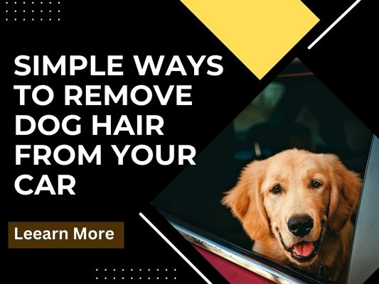 Simple Ways To Remove Dog Hair From Your Car
