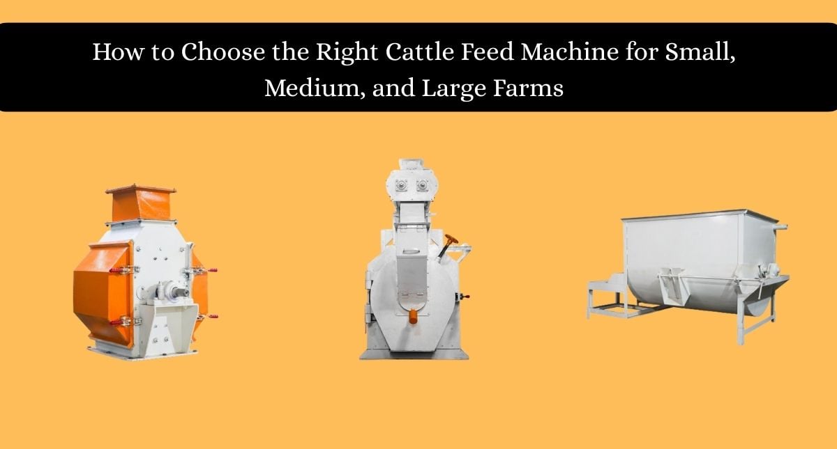 How to Choose the Right Cattle Feed Machine for Small, Medium, and Large Farms
