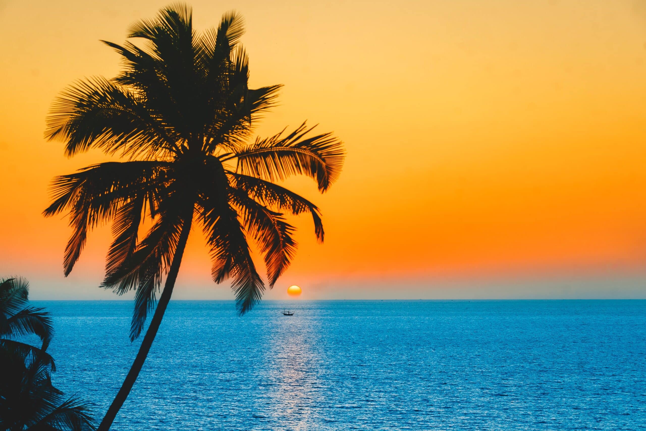 Best Hotels in Goa for a Dreamy Beach Getaway