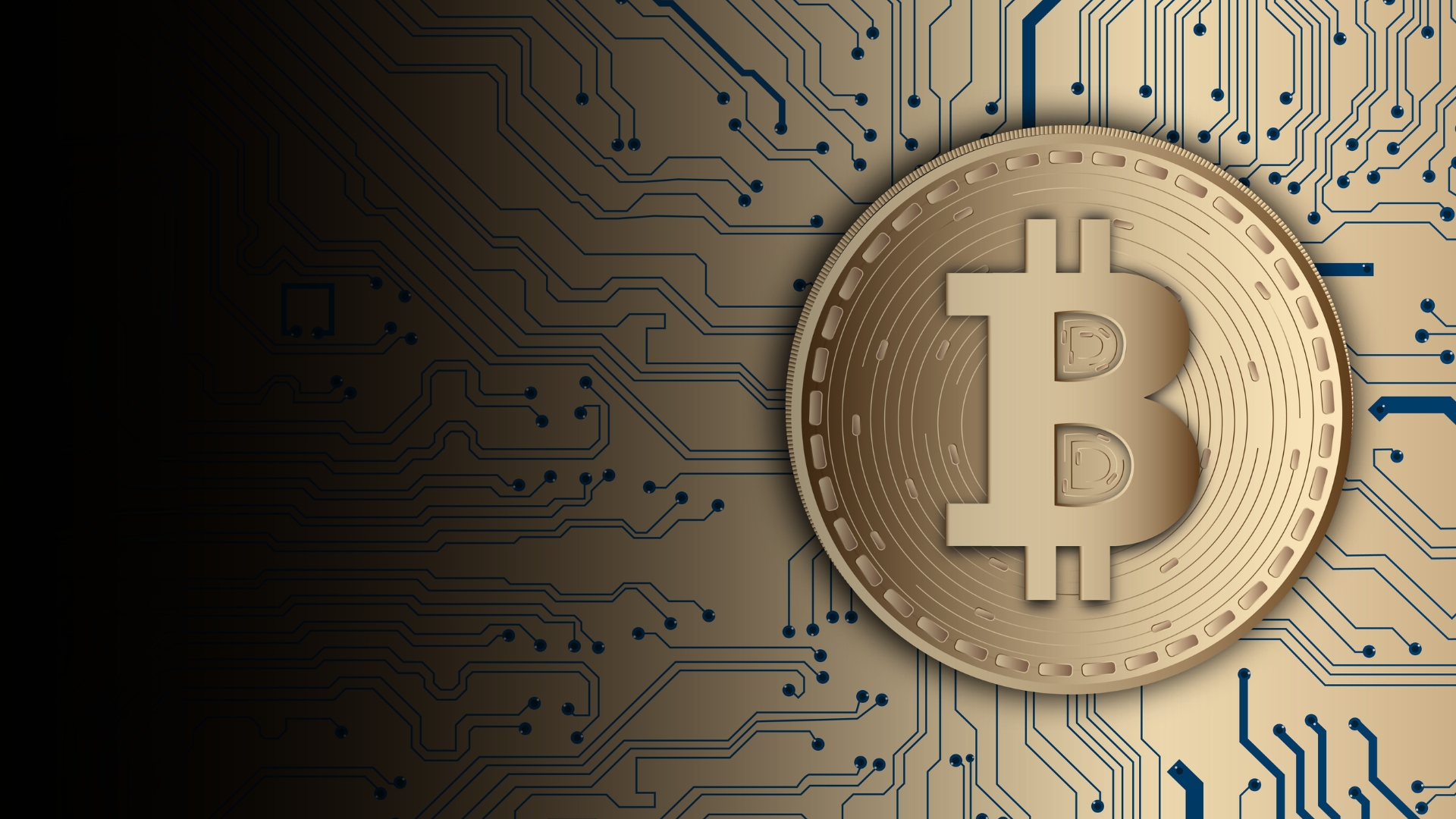 Five Strong Arguments for All Bitcoin Users to Upgrade to the Premium Version of the Bitcoin App