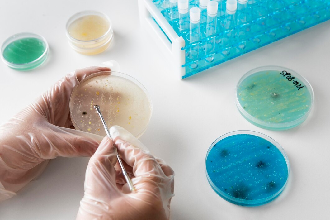 Microbiome Sequencing Service: Revolutionizing Our Understanding of the Internal Ecosystem
