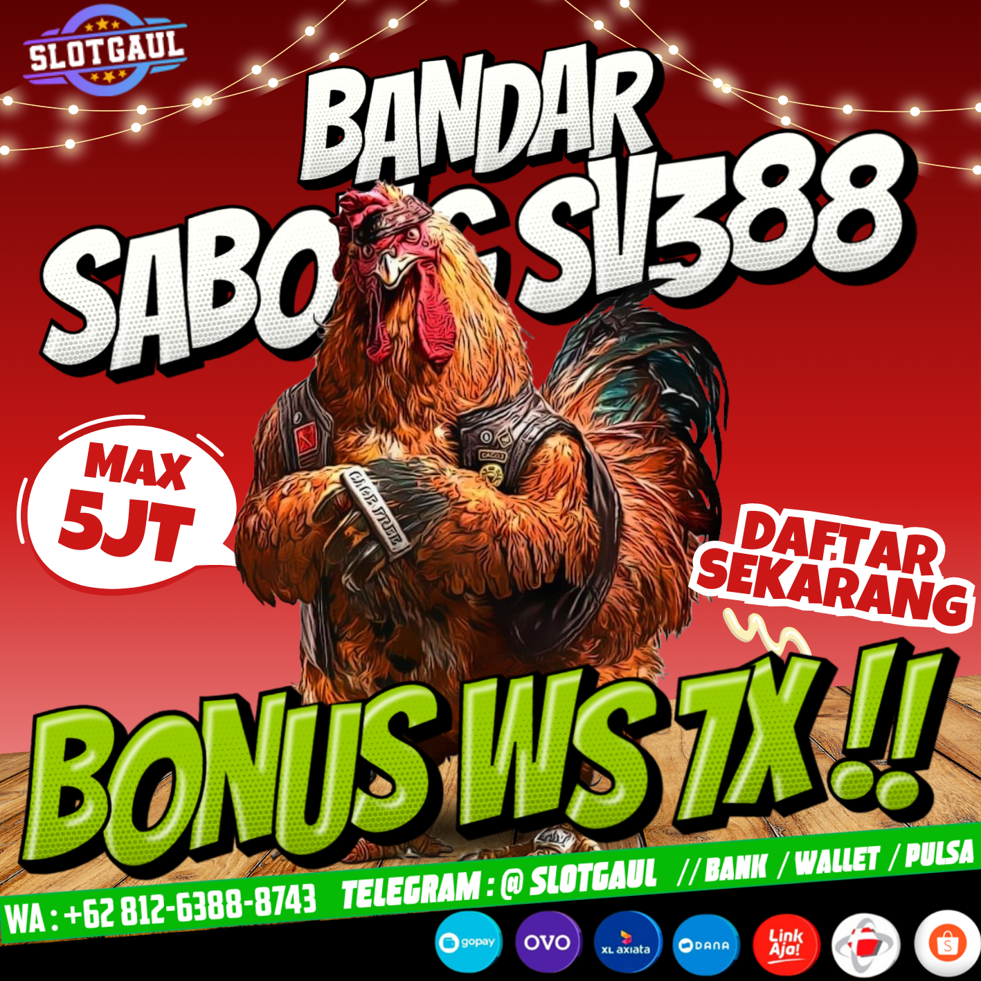 Sabung Ayam Live Streaming
