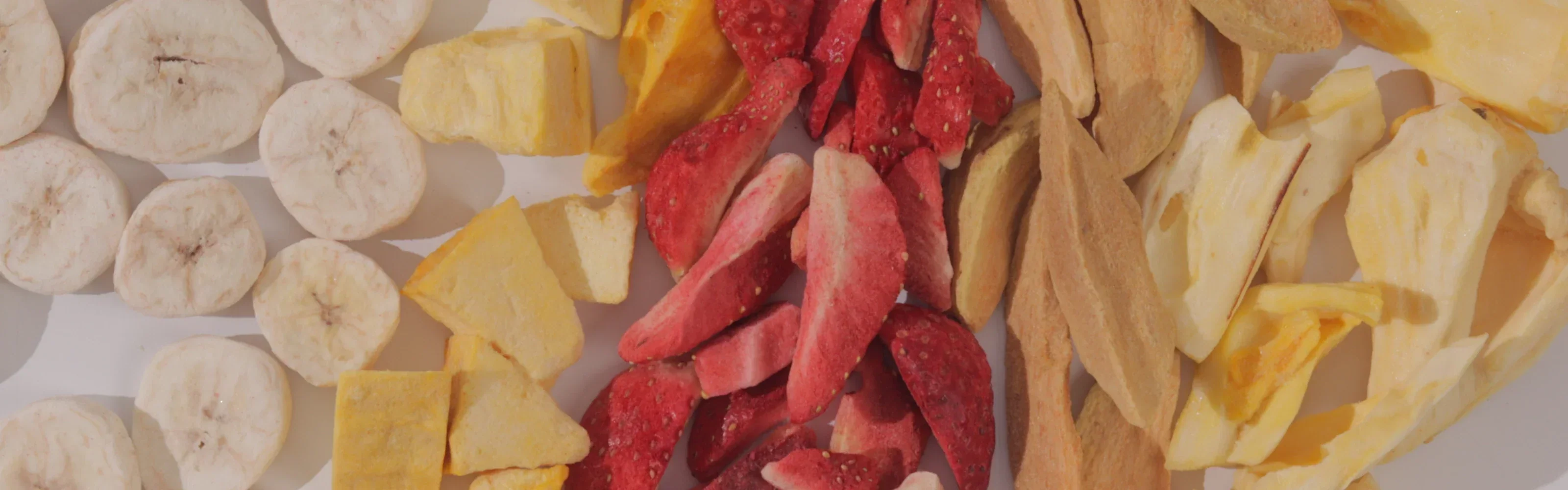 Chikoo Freeze-Dried Chips: The Next Big Superfood Snack
