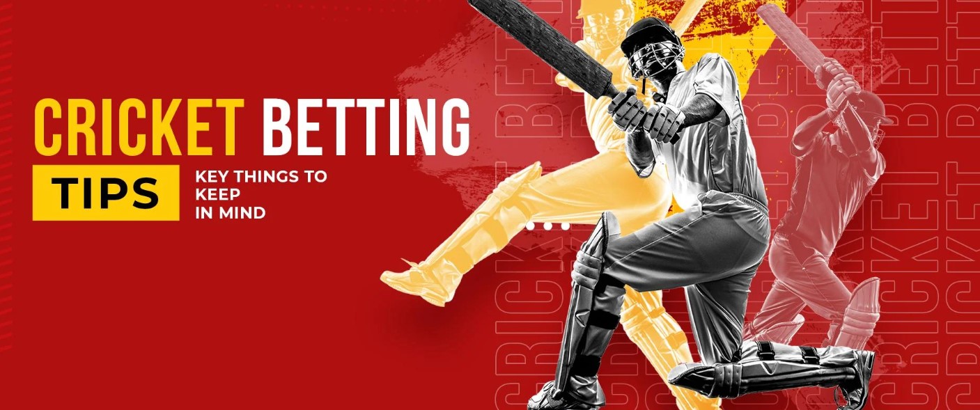 Top-Rated Online Cricket Betting Platforms