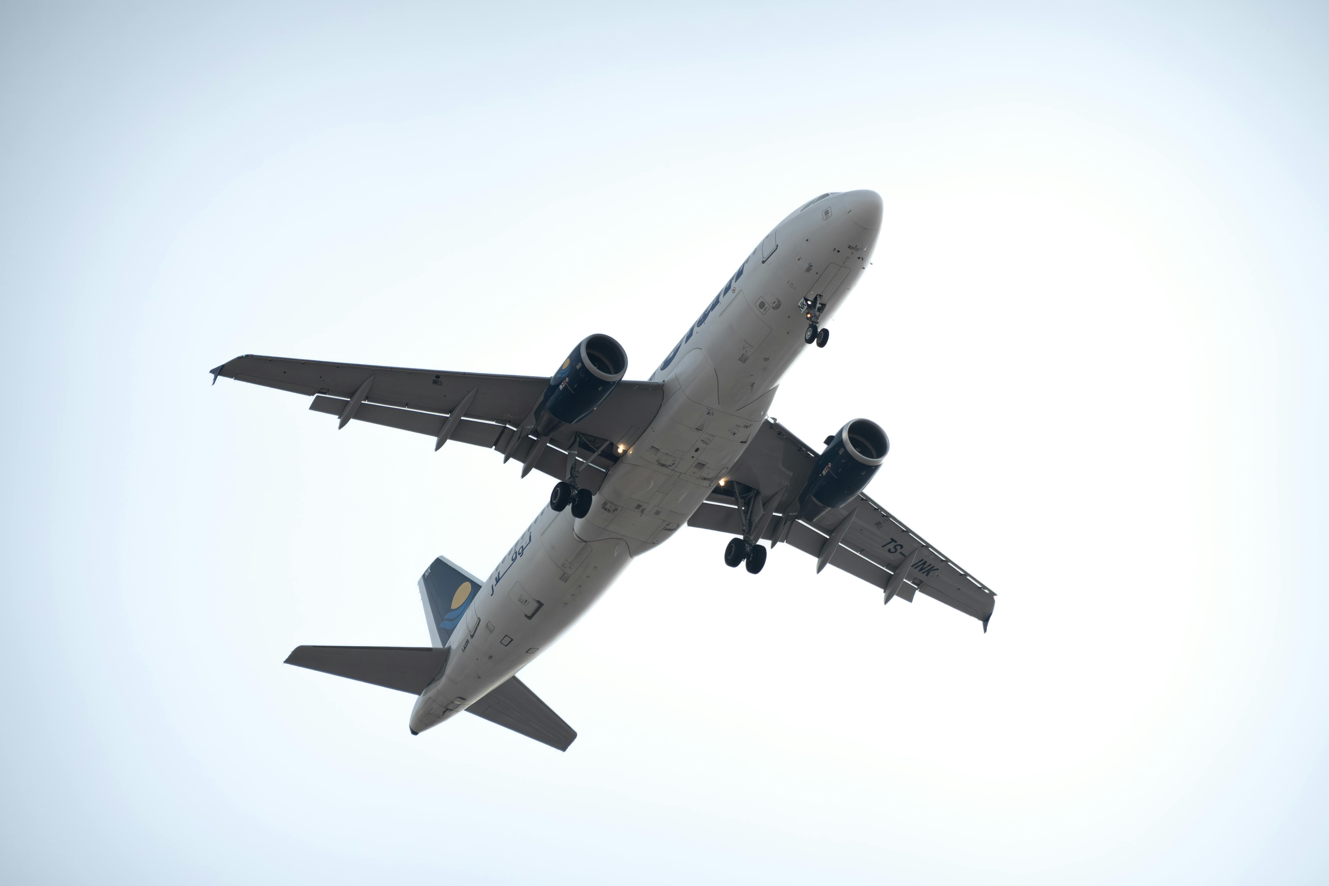 Delta Airline Tallahassee Office +1–888–839–0502