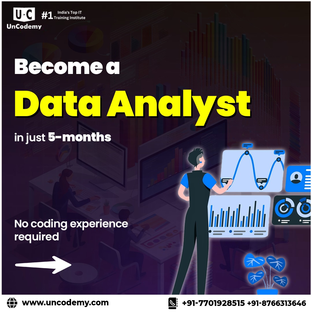 Can You Learn Data Analyst Without Coding? A Noida Course Breakdown