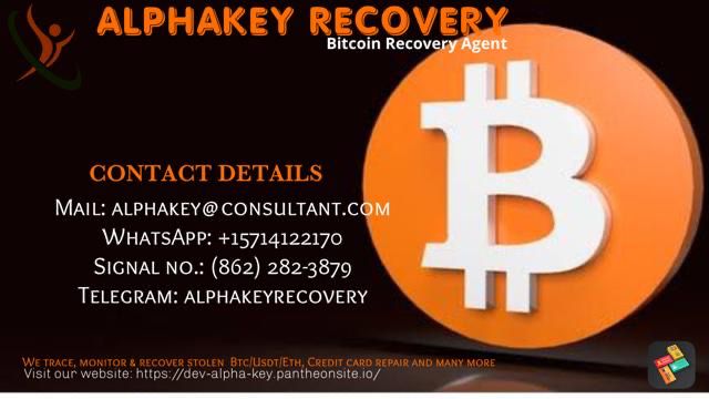 Consult A Licensed Crypto Recovery Hacker - Alpha Key