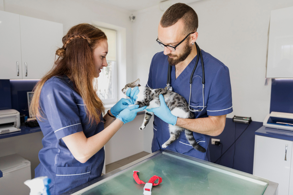 Veterinary Orthopedic Implants Market set to Grow Rapidly owing to Advancement in Veterinary Implant Technology